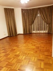 Opera Estate (D15), Semi-Detached #489157691